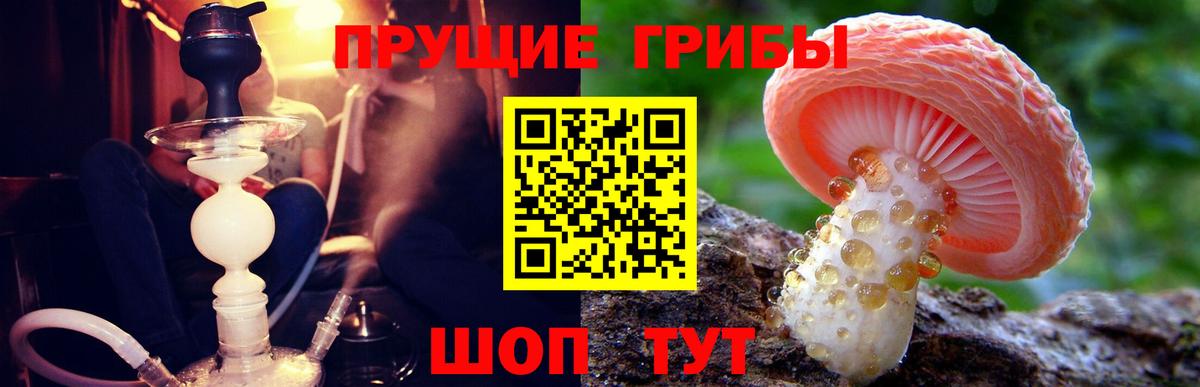 Псилоцибиновые грибы MAGIC MUSHROOMS Октябрьский